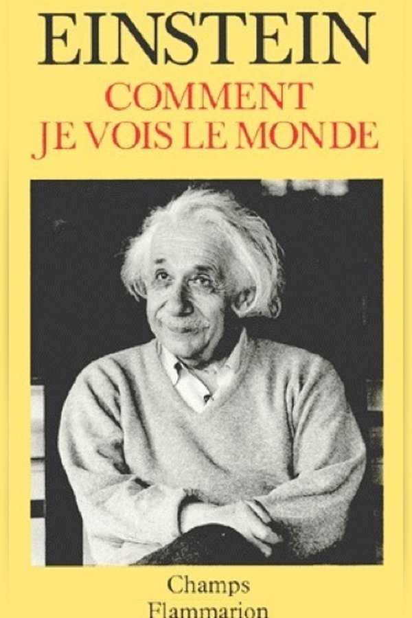 Couverture de Comment je vois le monde