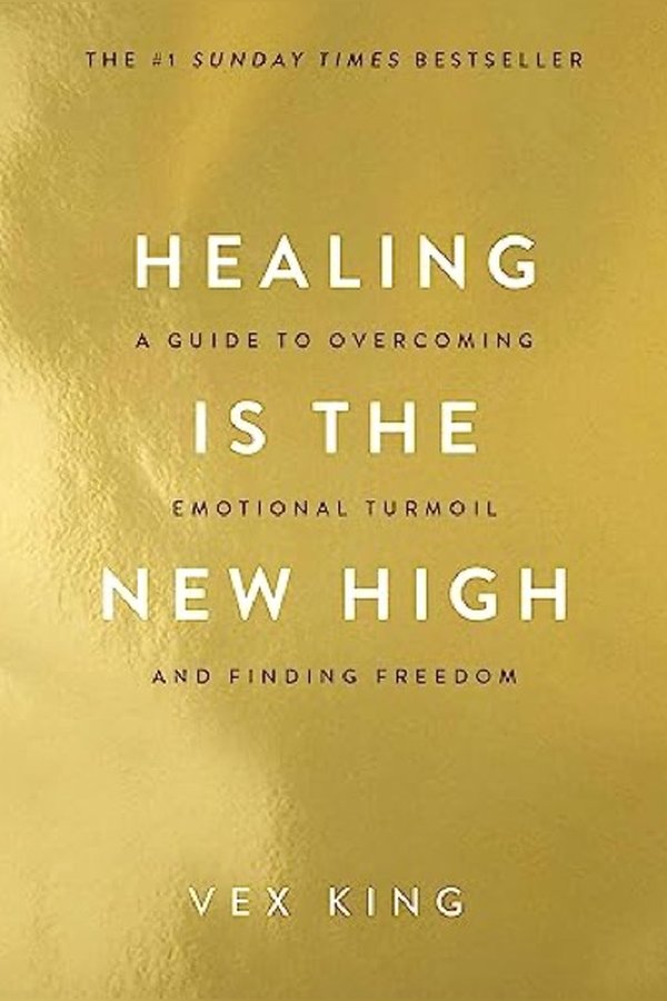Couverture de Healing Is the New High