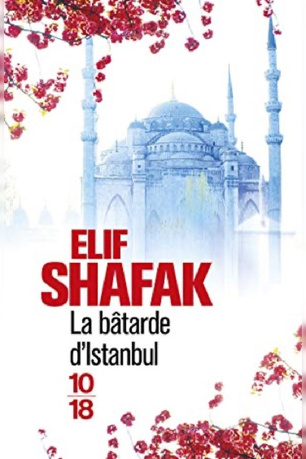 Couverture de La Bâtarde d'Istanbul
