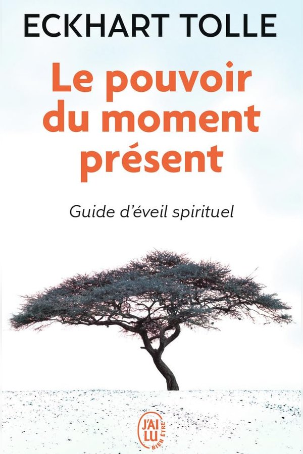 Couverture de Le Pouvoir du moment présent